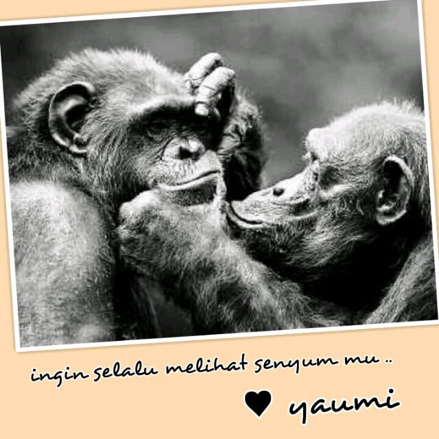 cinta didalam nafasnya ♥ayumi | 1422