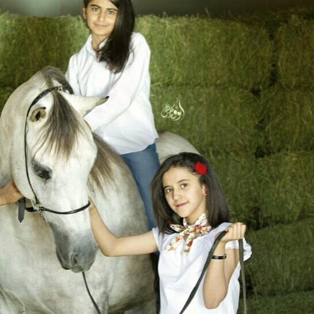 الحساب الوحيد في التويتر وجميع الحسابات الأخرى مفبركه ..اسوي زي بعض المشاهير ..‏شاعره وعاشقه للهلآآل وكفى