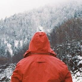 alievrussia's profile picture. 