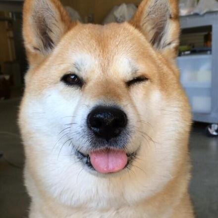 Dulki_'s profile picture. 踊ってみた =W=  よろしくお願いします！！