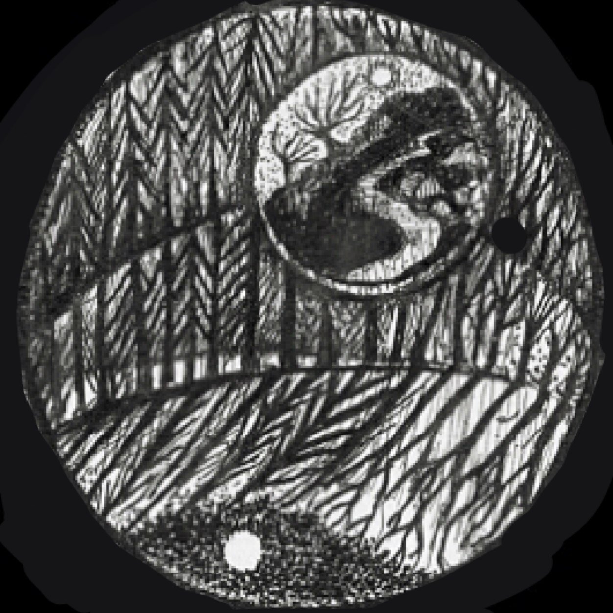 FalexanderFiona Profile Picture