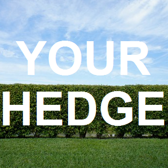 YourHedge's profile picture. Your hedge is your edge. We look to take advantage of bullish pops in implied volatility by either selling covered calls or puts