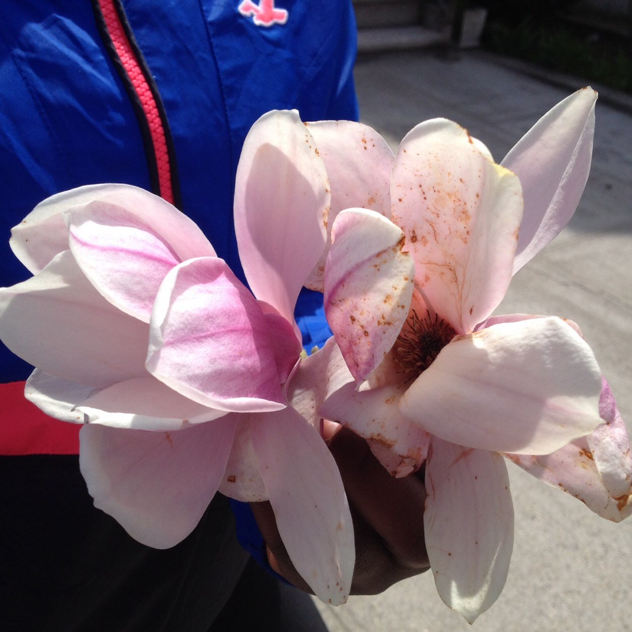 jacksnc1's profile picture. 