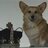 HRH_VulcanDorgi's profile image