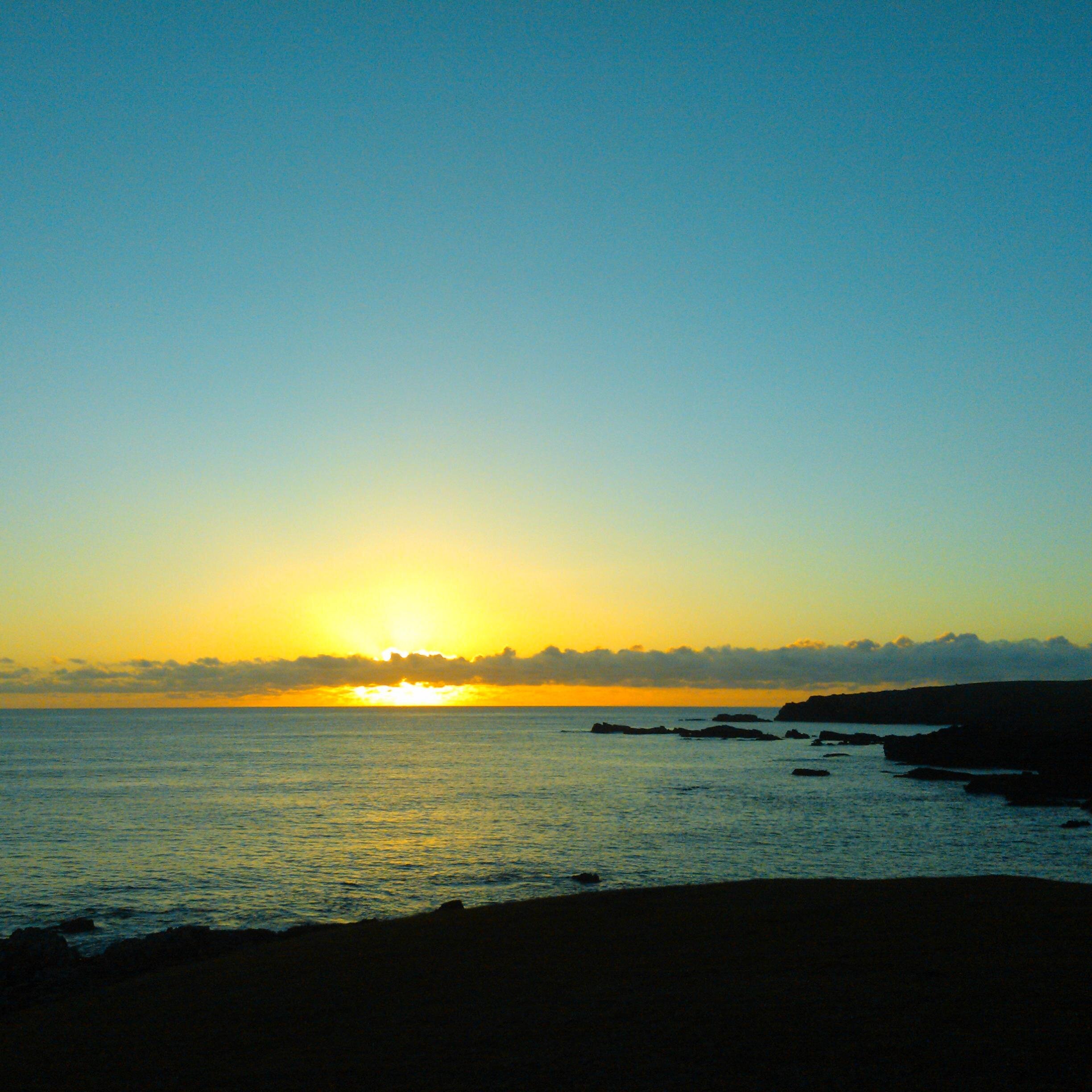 duff865's profile picture. 