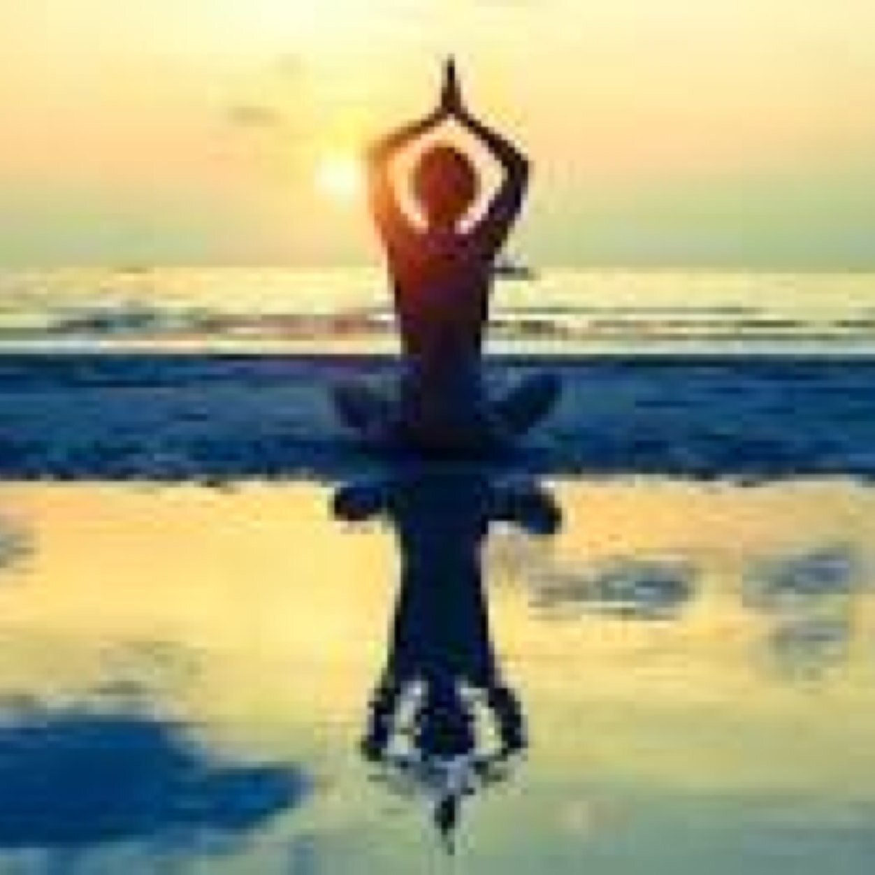Lift Spin Yoga Vegetarian