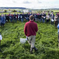 Tom Dinneen (@boruafarmer) 's Twitter Profile