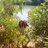96_mariia's profile image