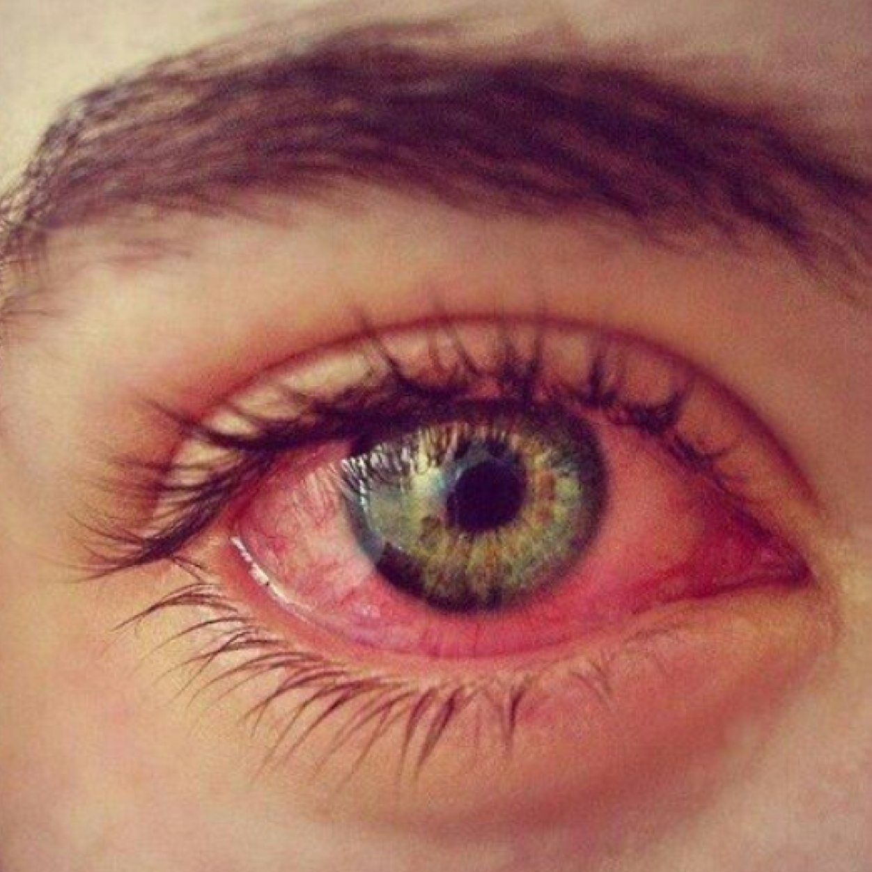 Hei_Kobain's profile picture. | 17 | boy | Italy | Liceo Classico | Sexy | rock | Every flower must grow in dirt.