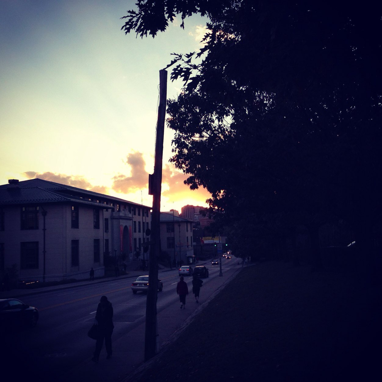 SIEXCEL's profile picture. 