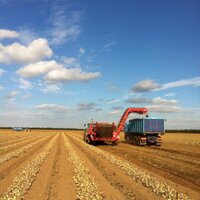 Ed Whitehead (@eddie_whitehead) 's Twitter Profile Photo