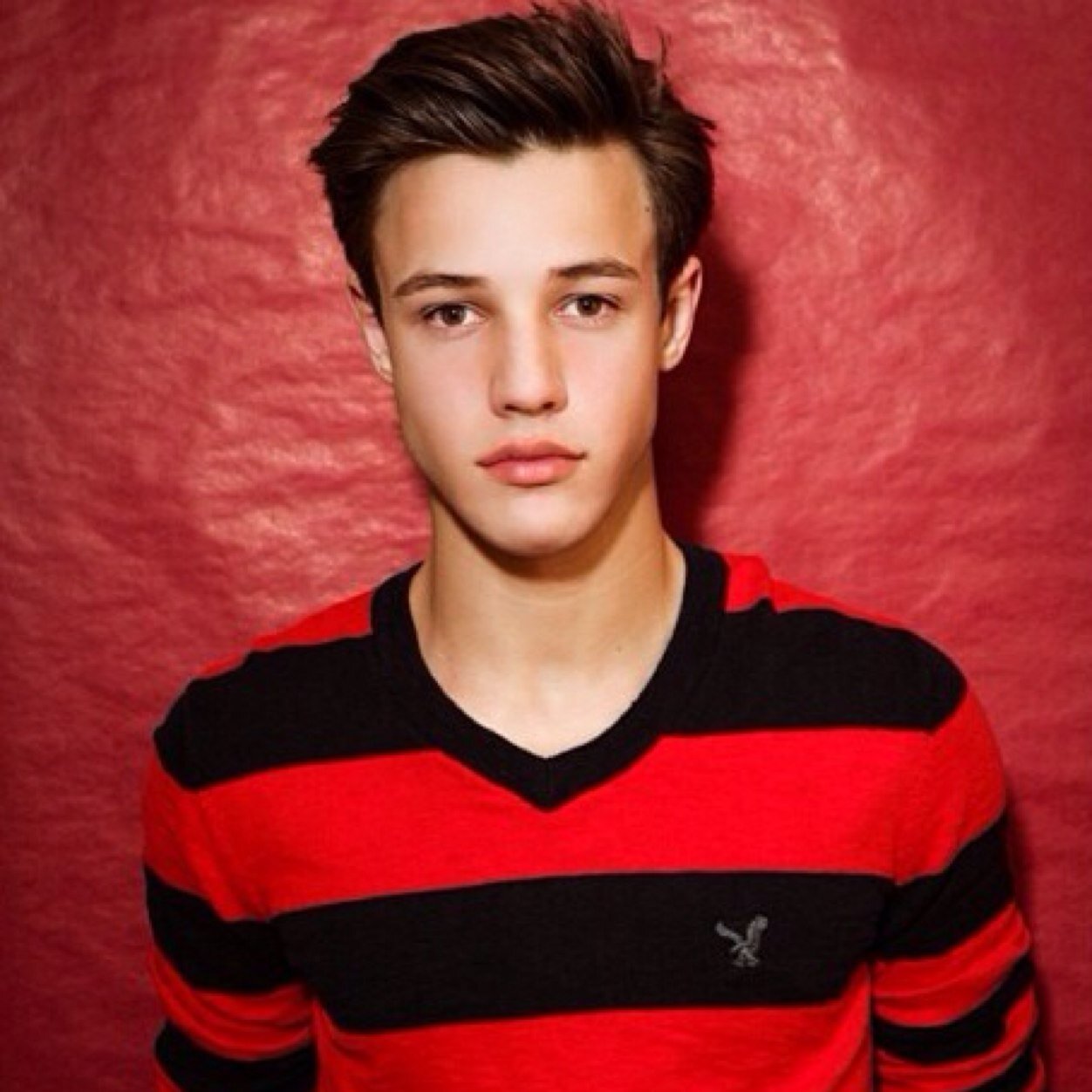 PandaApocolypse's profile picture. Dont blame me if I dont follow back.