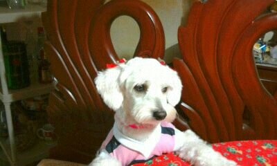 hugonzalez538's profile picture. 