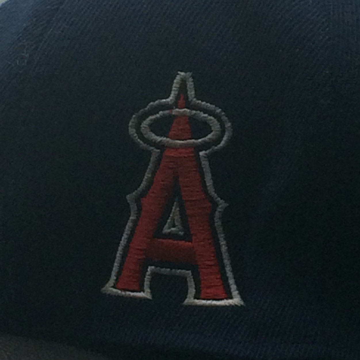 Angels fan for life