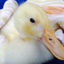 Dawn Dean - @DawnSunshine440 - Twitter