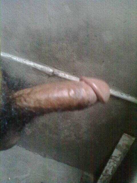 19thn,SMA| suka onani,pengen ngesex, ngewe,dan ngentot, Butuh ceWe yang mau ngeseks, nyari tante yg mau ngajarin ngentot| kontol lumayan utk anak SMA