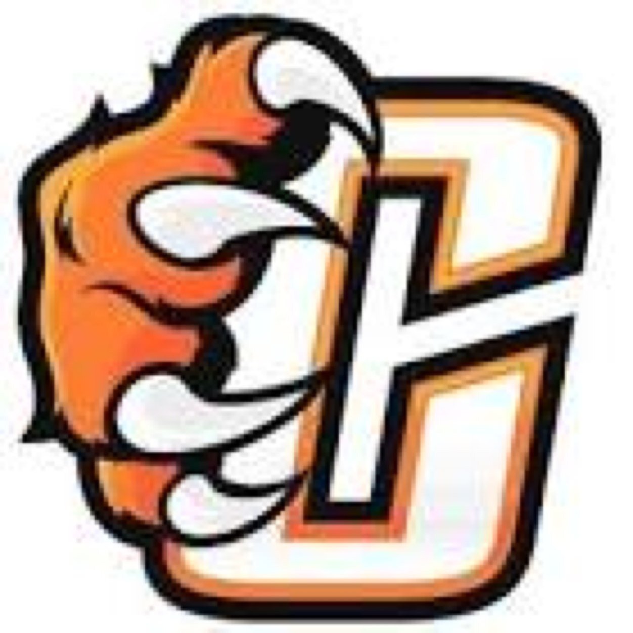 Central Grizzlies Boys Basketball
