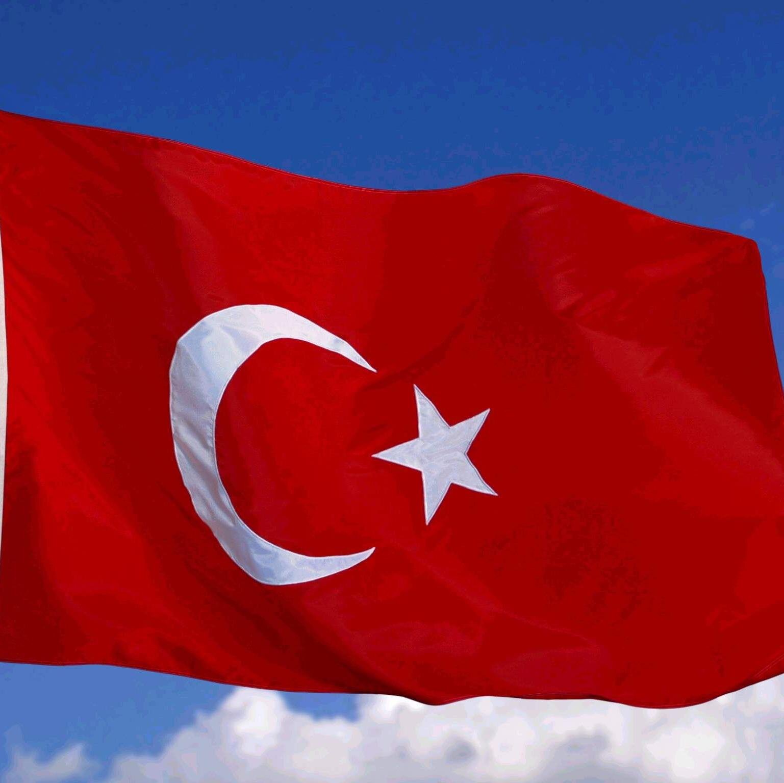 fenerli hayvansever   öğrenci fatsalı İŞTANBULDA YASIYOR