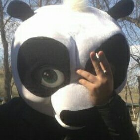 mr_tsay's profile picture. 