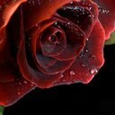 Ofelia Rivas - @OfeliaRivas_ - Twitter