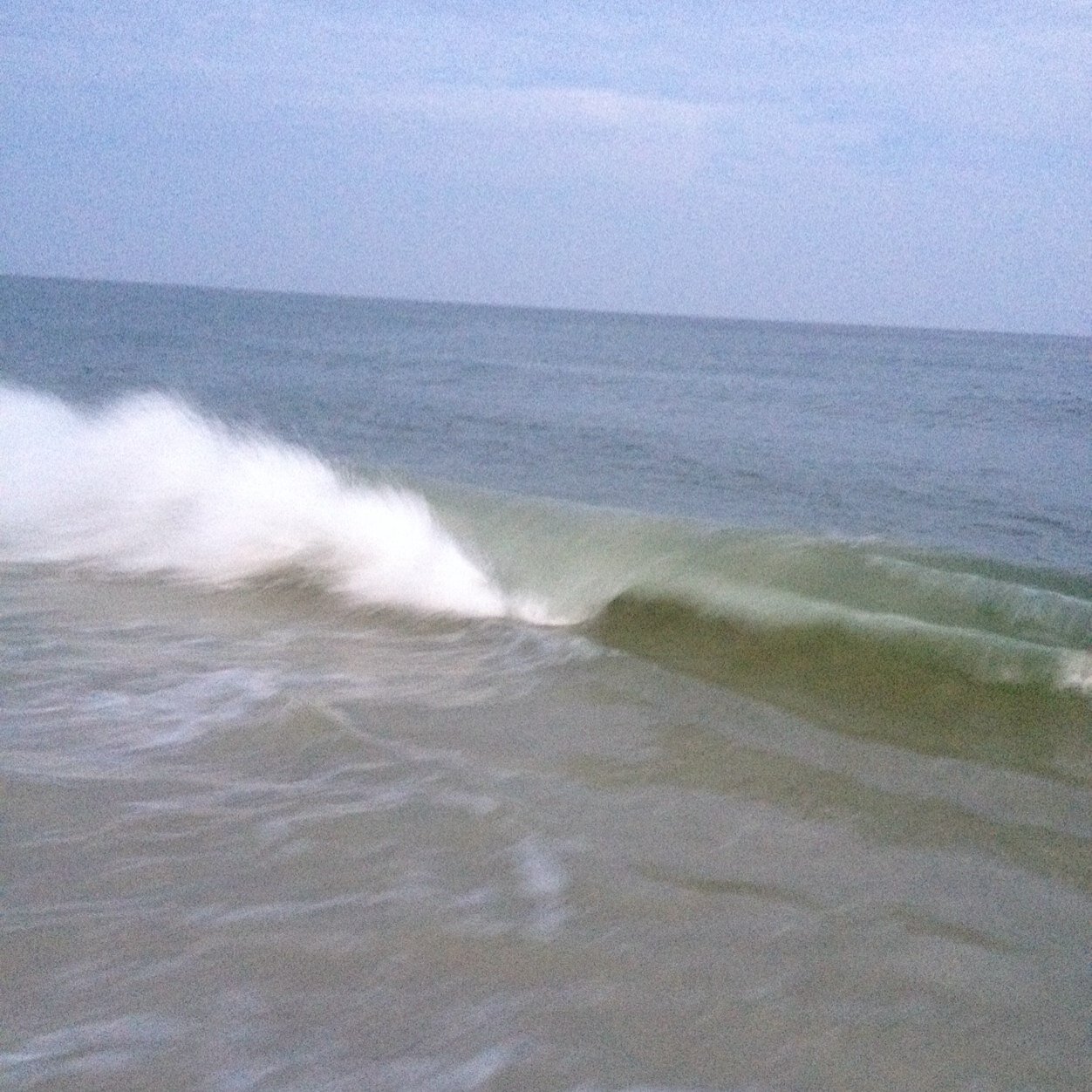 nitecoach's profile picture. 