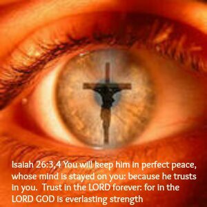 GinaShives's profile picture. 