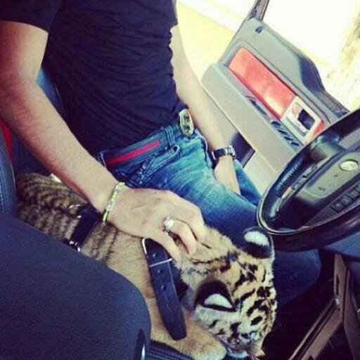 haypene's profile picture. Guadalajara / 19 años MCMXCVI ▬▬▬▬▬▬▬▬▬▬▬▬▬▬▬▬▬▬
No vivas para que tu presencia se note, si no para que tu ausencia se sienta ▬▬▬▬▬▬▬▬▬▬▬▬▬▬▬▬▬▬