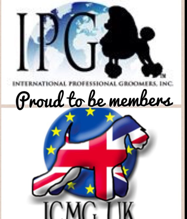 devonpetgroomer's profile picture. Dog, Cat, Rabbit, GPig grooming in Crediton, Devon