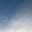 ALionTweets's profile image