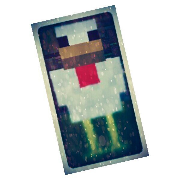 FireCraft_Kroko's profile picture. Im Your mama!