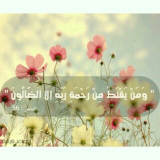 ♥أنا بِخير ، مادُمت أستطيع أن أسجُد سجودًا يُغنيني عن ألف بوح ، لك الحمدُ ربيّ (عندما أموت انيروا ظلمة قبرى بالدعاء )💖 معلمة ومديرة ومشرفة ادارية ( متقاعدة) 💖