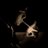 den_bgs's profile image