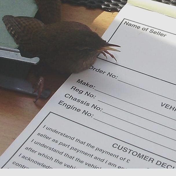 fujicars's profile picture. Fuji cars are an established used car dealer based close to the city centre  Manchester, on the main A57 308 Hyde rd M12 4RA