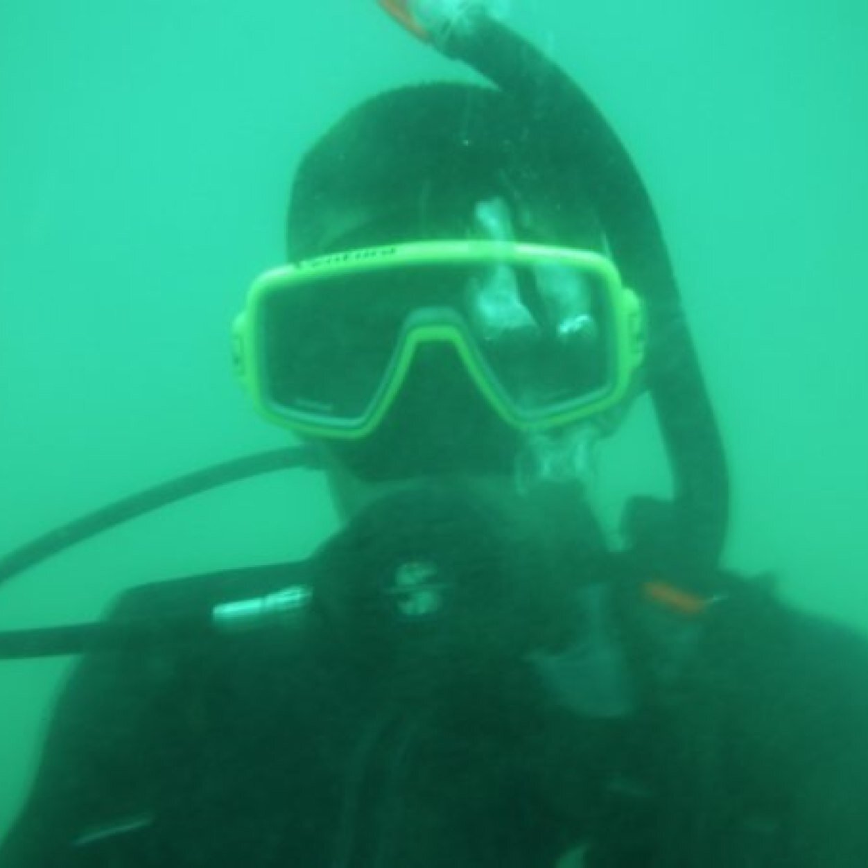 chicofilos's profile picture. MUSICA/VIDEO/RUMBA/VIAJAR/CREO EN DIOSØ/ ME GUSTAN LAS CHICAS/