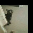 Christine Seitz - @cseitz48 - Twitter