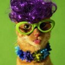 Jane Richter Baker - @tweet_jane_ - Twitter