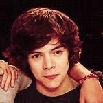 follow @louisAmoTuCulo for a follow back :)