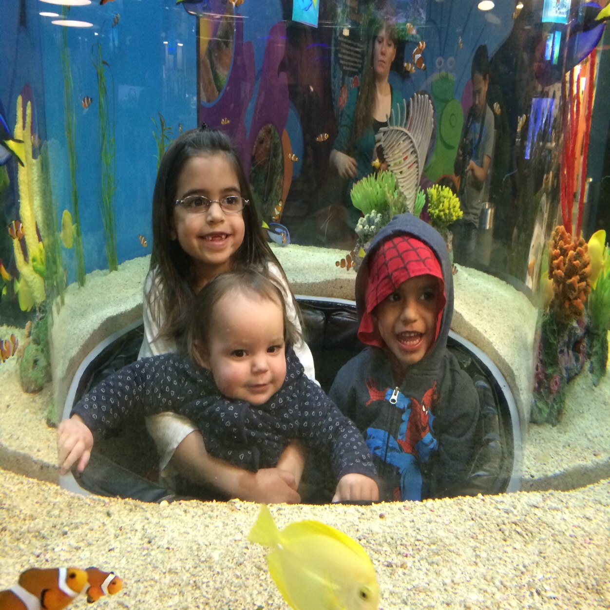 MHaveliwalla's profile picture. 