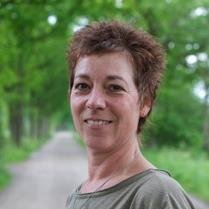 Effortless Coaching en Coaching met inzet van paarden. Voor moeiteloos leven en werken. Bij 
