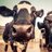 clare428's profile image