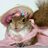 sincapprenses's profile image