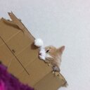 みち (@01mck23) Twitter