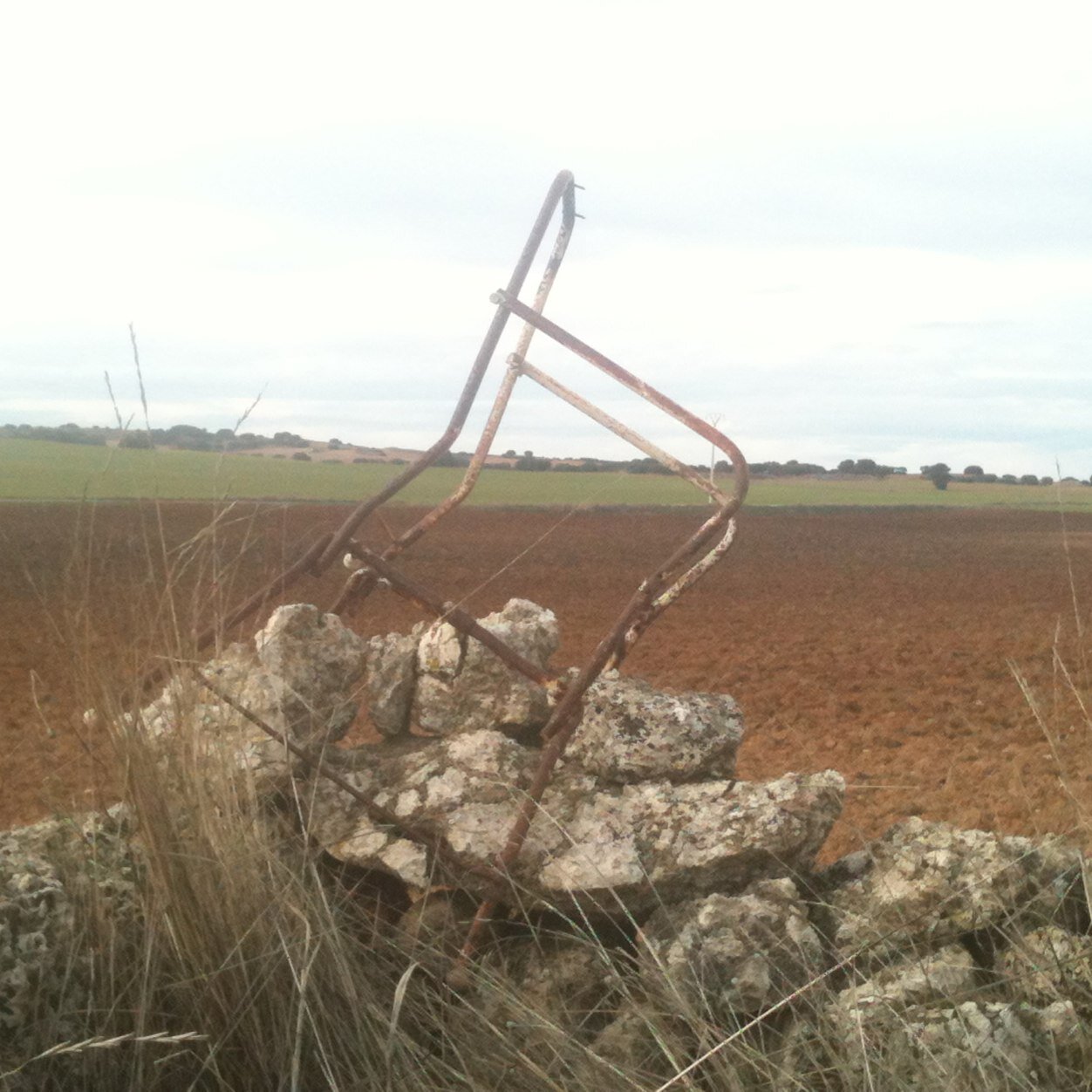 Endri64's profile picture. 