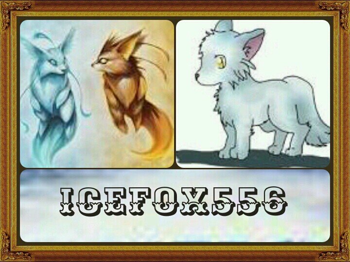 The name is Icefox I live in the snowy area I love to play basketball, softball I love to drink Starbucks, im a human/fox also fallow @bat_jas