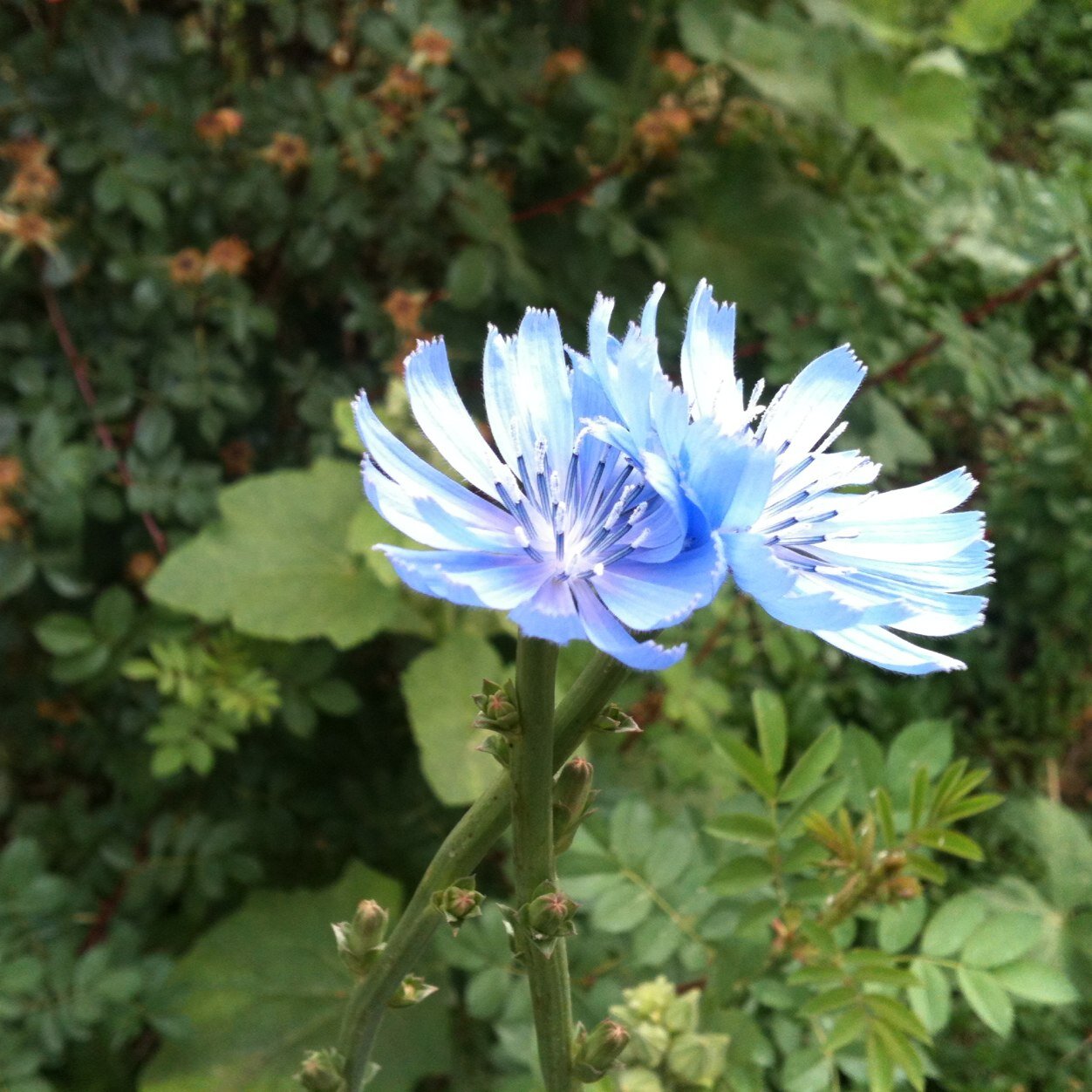 tl01001's profile picture. 