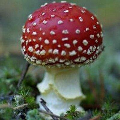 MarioB226 Profile Picture