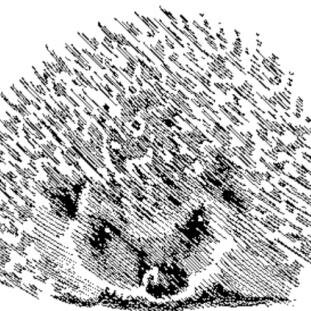 Hurchin Home Profile