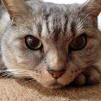 kazuhisa (@ezc7sppk4) Twitter profile photo