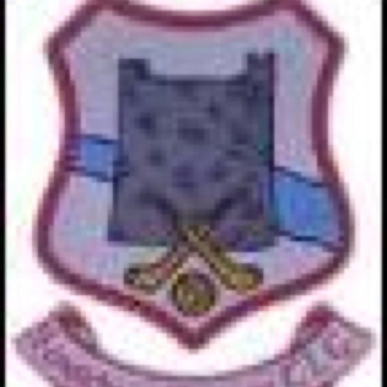 Shannon Rovers GAA- Hurling, Football & Camogie. Official Twitter.
2025 North Tipperary Intermediate Hurling Champions