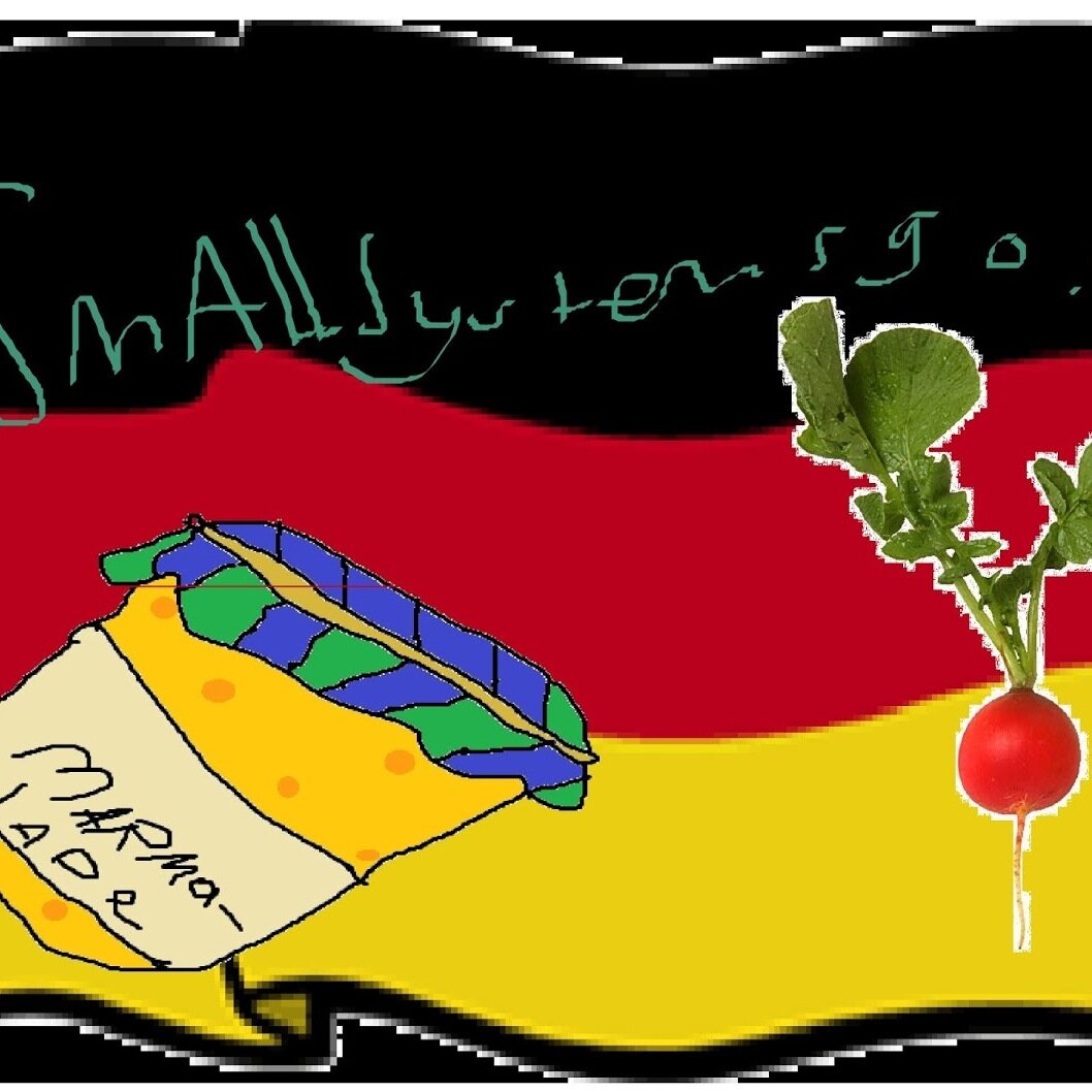 smALLsystemsgo's profile picture. 